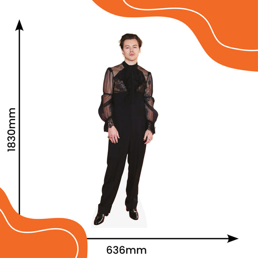 Harry Styles Mesh Top Lifesize Cardboard Cutout