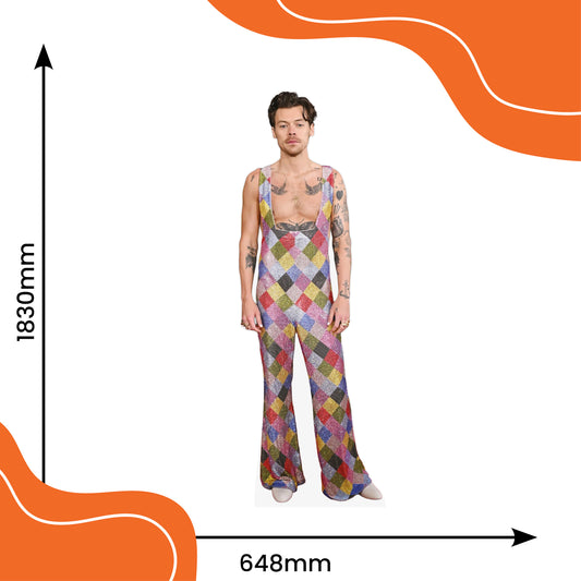 Harry Styles Rainbow Overalls Lifesize Cardboard Cutout