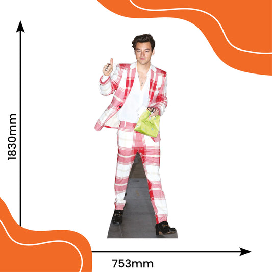 Harry Styles Checked Suit Lifesize Cardboard Cutout
