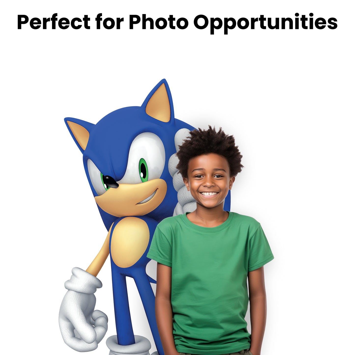 Sonic the Hedgehog Cardboard Cutout