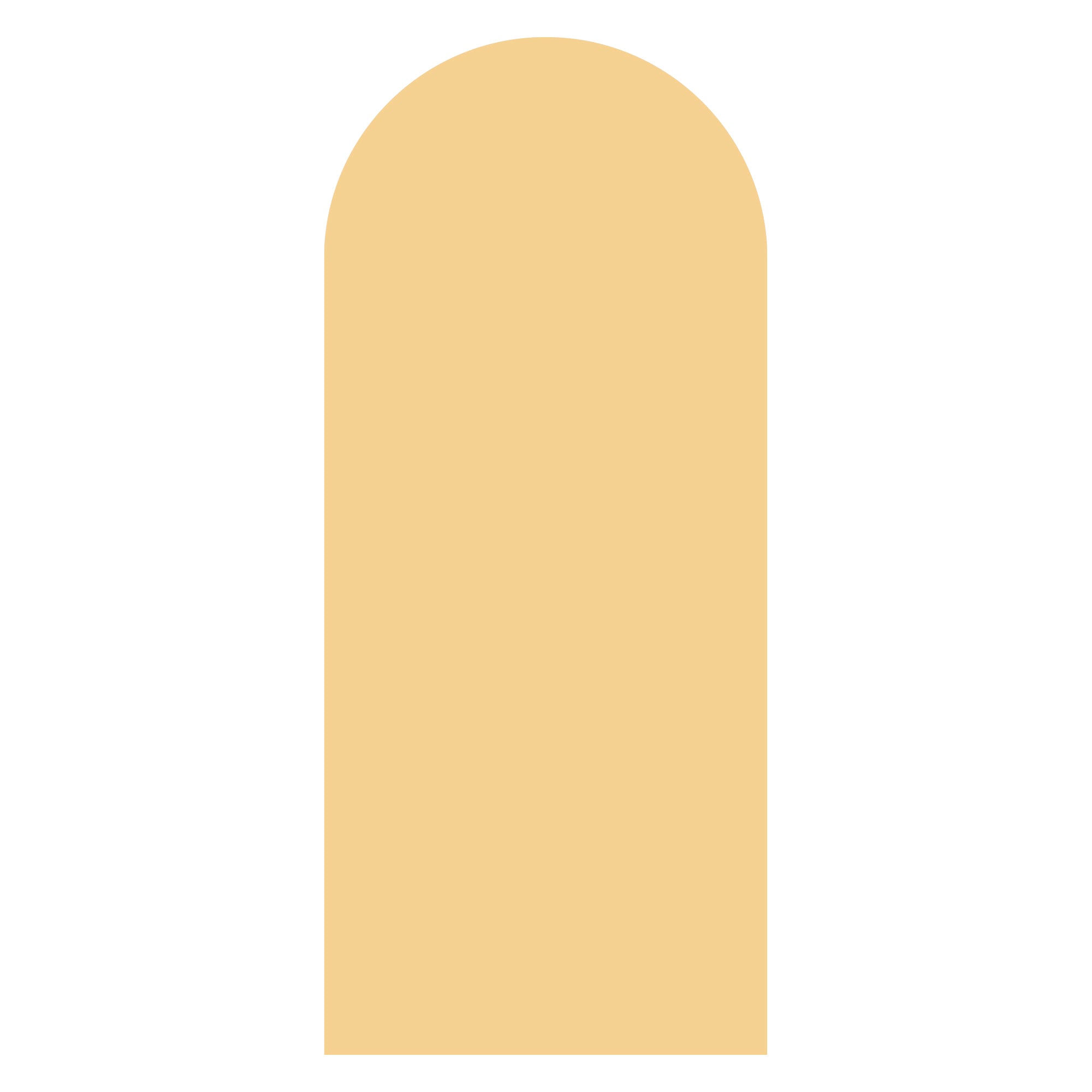 Custard cream arched backdrop sailboard