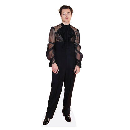 Harry Styles Mesh Top Lifesize Cardboard Cutout
