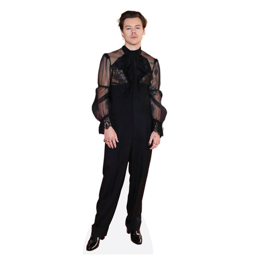 Harry Styles Mesh Top Lifesize Cardboard Cutout