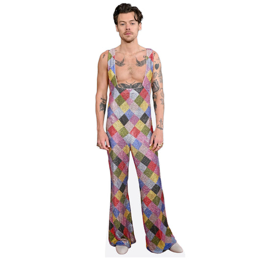 Harry Styles Rainbow Overalls Lifesize Cardboard Cutout