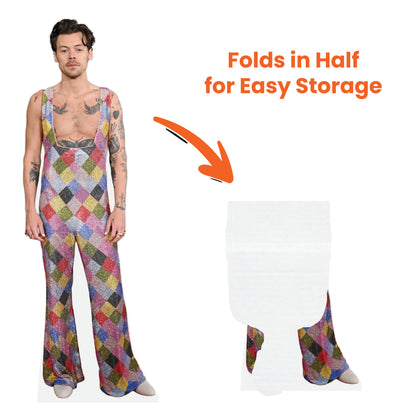Harry Styles Rainbow Overalls Lifesize Cardboard Cutout