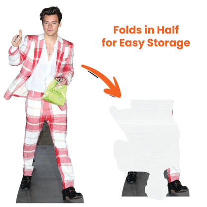 Harry Styles Checked Suit Lifesize Cardboard Cutout