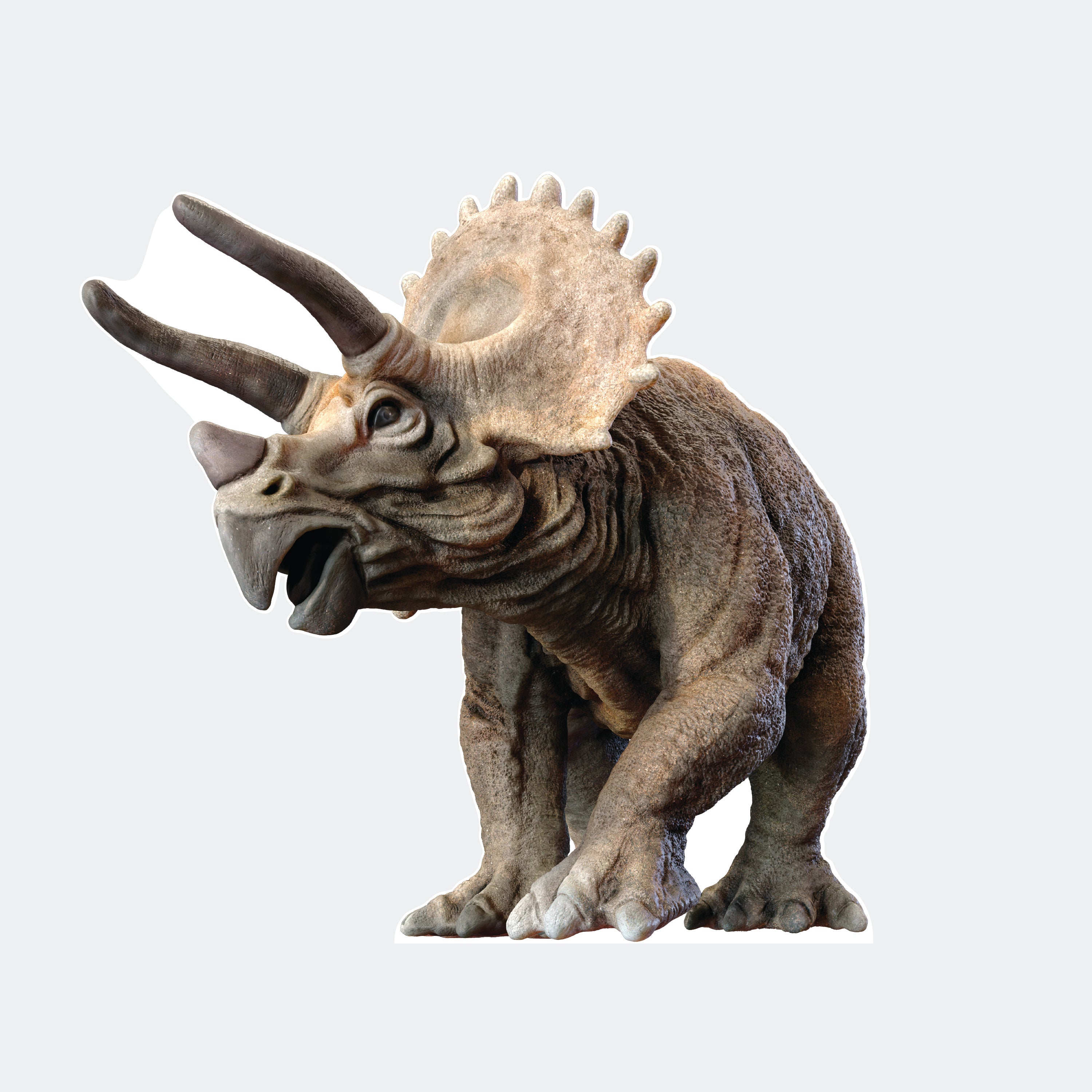 Large Triceratops Dinosaur Cardboard Cutout